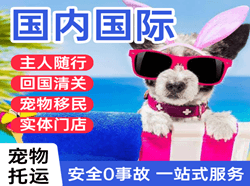 哈密伊州航空物流国际宠物托运 【国